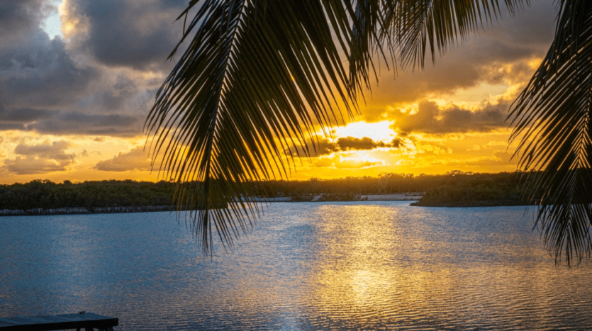 Lagos del Sol Residencial Terrenos En Venta Cancún Quintana Roo Lago-min