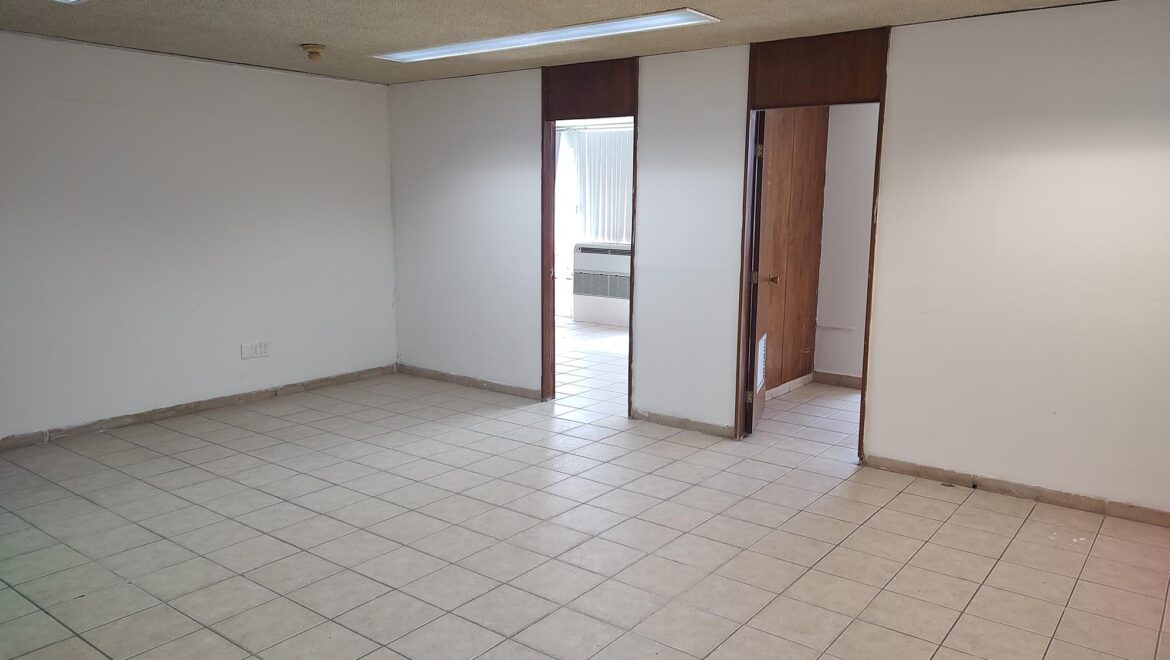 video image