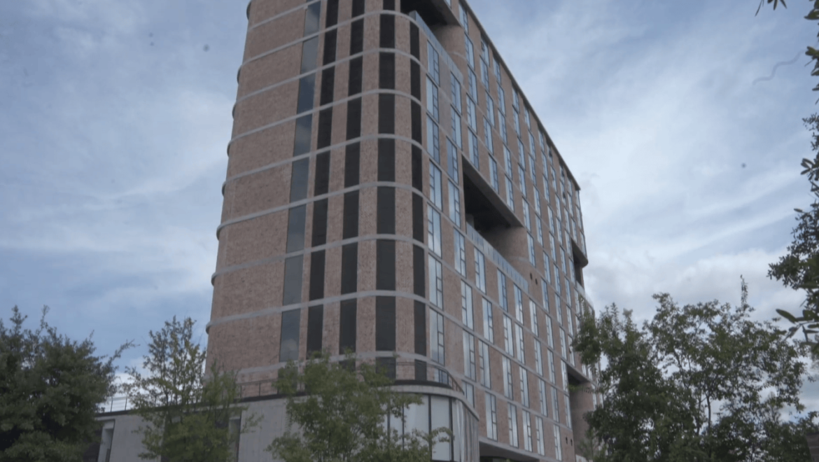 video image